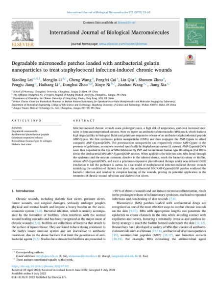 2022 動(dòng)物研究，重組膠原微針，用于慢性傷口