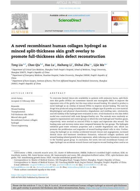 2022 動(dòng)物研究，重組膠原用于微粒皮移植覆蓋